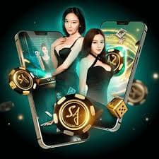 kk8 my